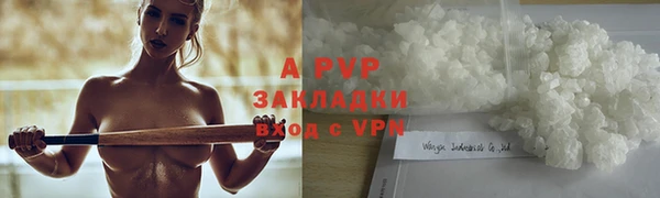 индика Тында