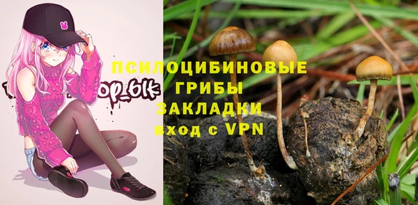 ПСИЛОЦИБИНОВЫЕ ГРИБЫ Ханты-Мансийск