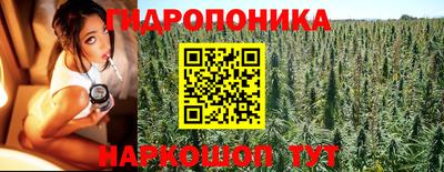 бошки Аргун