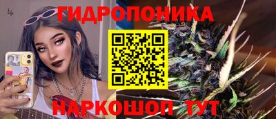 индика Апрелевка