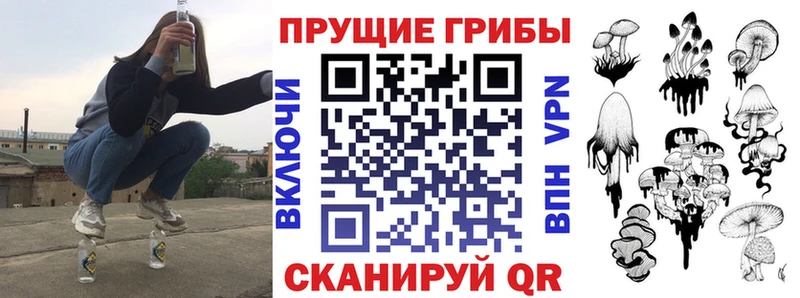 Псилоцибиновые грибы Psilocybine cubensis  Архангельск 