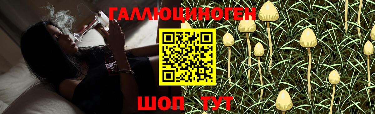 Псилоцибиновые грибы Psilocybine cubensis  Вход с VPN  Архангельск 