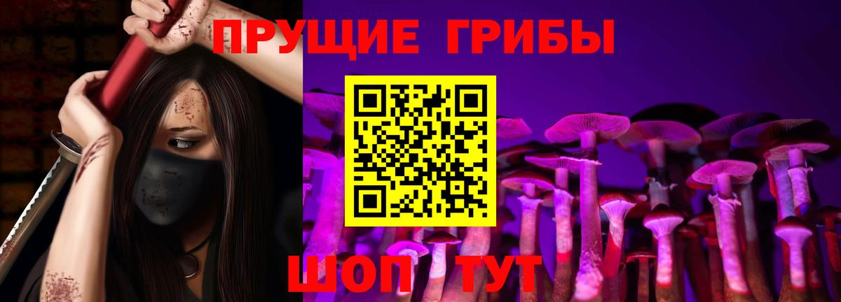 Псилоцибиновые грибы Cubensis Архангельск